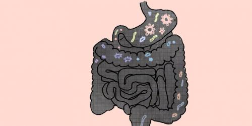Microbiota intestinal: what if the cure for all our ills was in us?